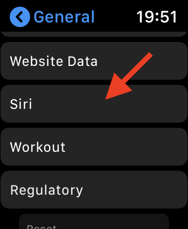 Watch Siri Config 2