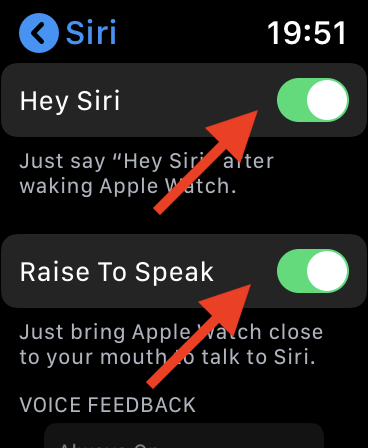 Watch Siri Config 3