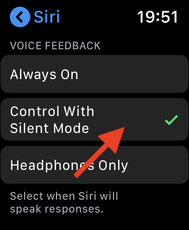 Watch Siri Config 4