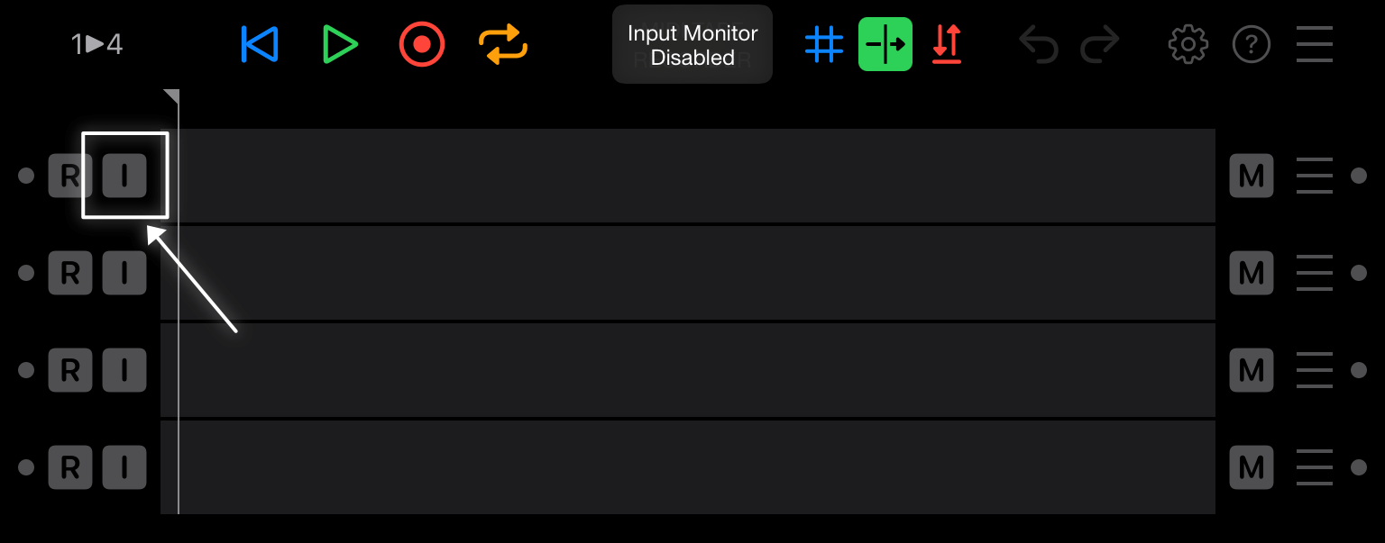 Input Monitor Disabled