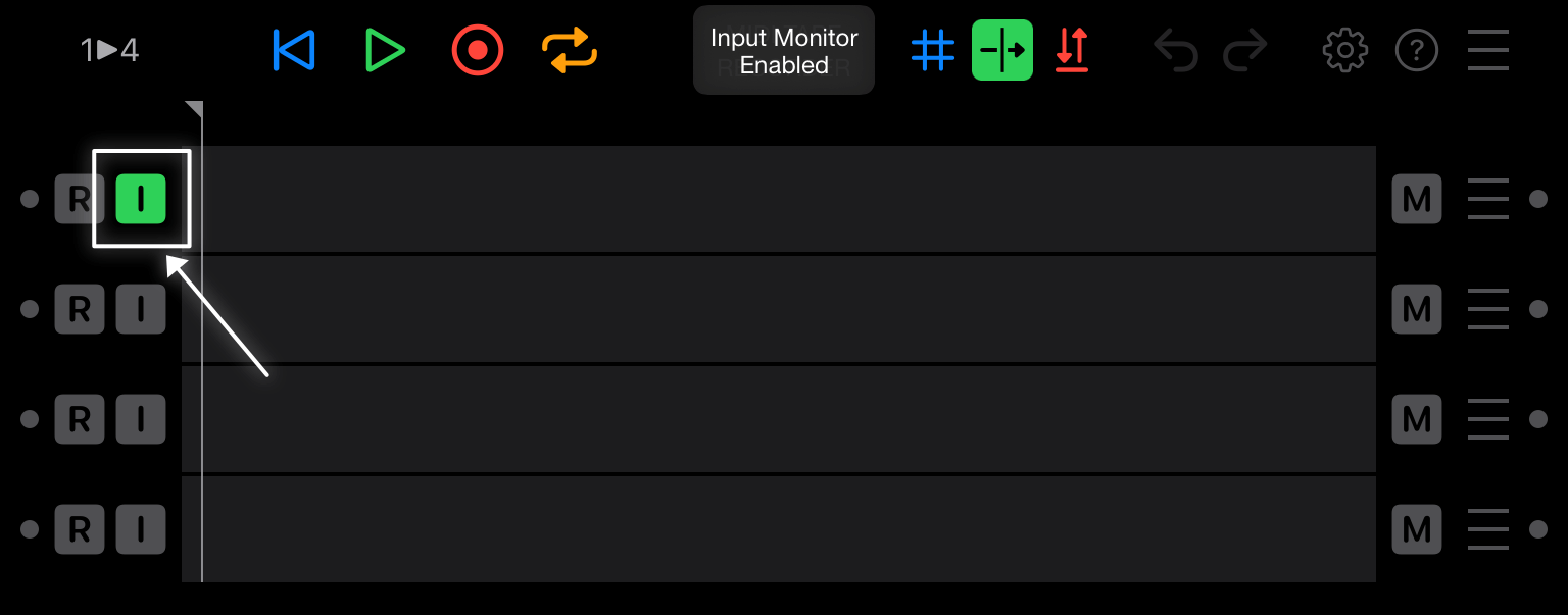 Input Monitor Enabled